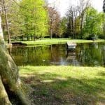 Teich Entenhaus Bäume Schloss Pillnitz