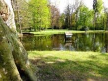schloss pillnitz 016