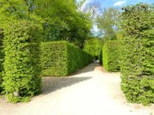 schloss pillnitz 026