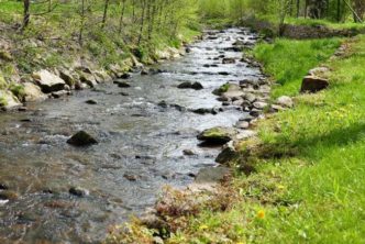 Wildpark Osterzgebirge Geising 004