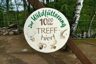 Wildfütterung Wildpark Osterzgebirge Wildpark Osterzgebirge Geising 021