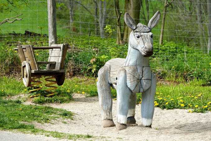 Esel für Kinder Wildpark Osterzgebirge