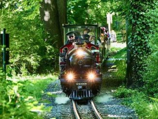 Lokomotive Parkeisenbahn Dresden im Wald