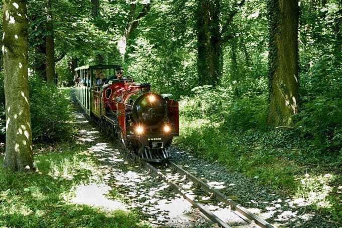 Parkeisenbahn Großer Garten Carolasee Dresden