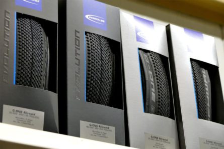 fahrradreifen evolution schwalbe