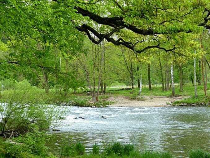 Flussbett Bachlauf Natur Landschaft