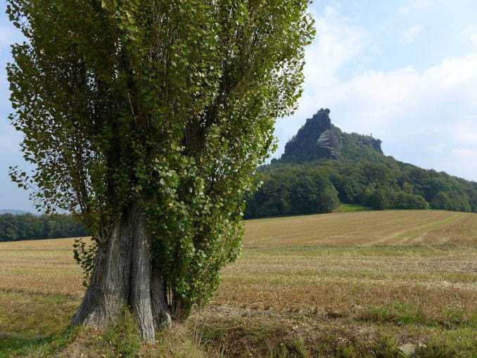 Elbsandsteingebirge Lilienstein Kirnitzschtal