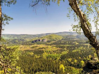 Kirnitzschtal Sächsische Schweiz