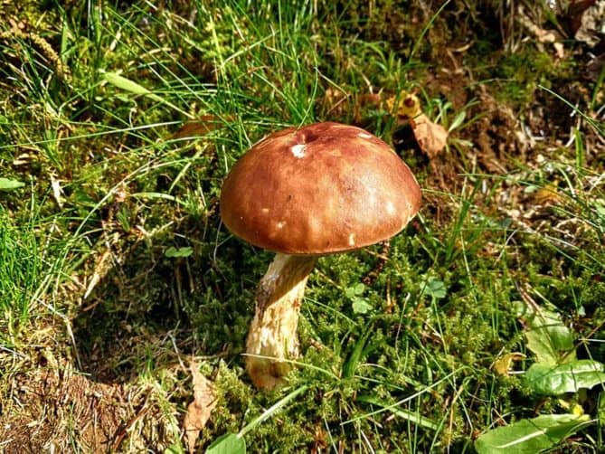 Talsperre-Rauschenbach-Bild-009 Talsperre Rauschenbach Bild 009