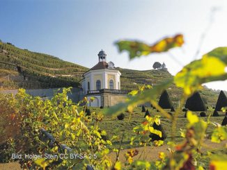 Park von Schloss Wackerbarth