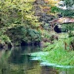 bootsfahrt kirnitzschklamm 020