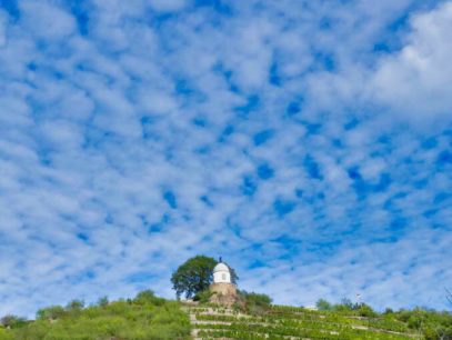 Schloss Wackerbarth Weingut Bild 069