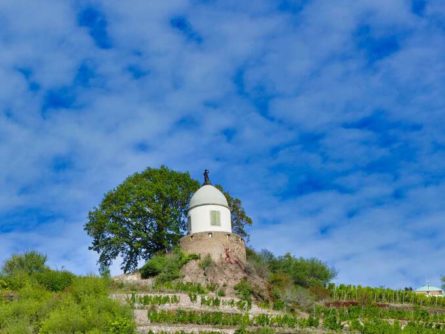 Schloss Wackerbarth Weingut Bild 070