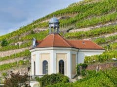 Schloss Wackerbarth Weingut Bild 072