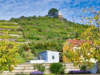 Schloss Wackerbarth Weingut Bild 080