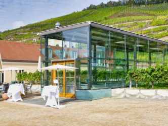 Schloss Wackerbarth Weingut Bild 082