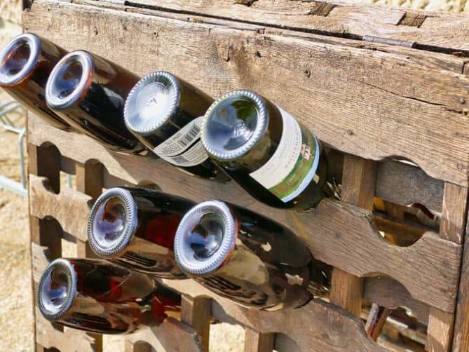 Schloss-Wackerbarth-Weingut-Bild-088 Schloss Wackerbarth Weingut Bild 088