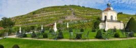 Schloss Wackerbarth Weingut Bild 098