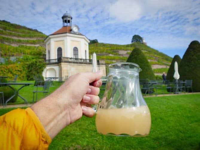 Schloss-Wackerbarth-Weingut-Bild-100 Schloss Wackerbarth Weingut Bild 100