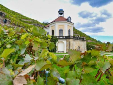 Schloss Wackerbarth Weingut Bild 103