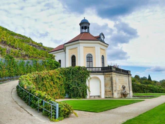 Schloss Wackerbarth Weingut Bild 106