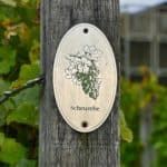 Schloss Wackerbarth Weingut Bild 128