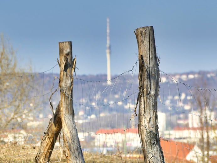 Blick auf den Fernsehturm Dresden