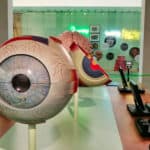 hygienemuseum dresden 004