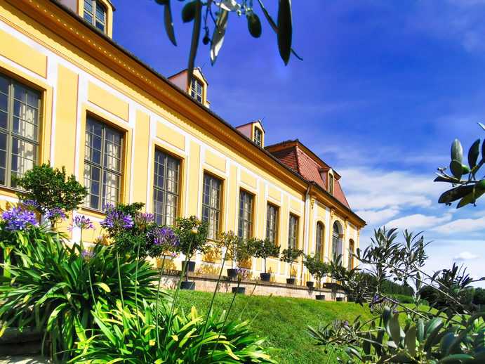 Ausflug zum Barockgarten Großsedlitz ☀️ DresdenAusflug.de