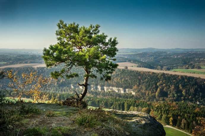 Sächsische Schweiz