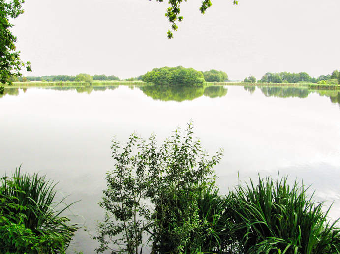 Dippelsdorfer Teich Gemeinde Moritzburg