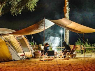 Camping in und um Dresden