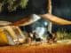 Camping in und um Dresden