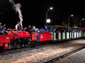 Lichterfahrten mit der Parkeisenbahn im Großen Garten Lichterfahrten mit der Parkeisenbahn