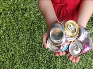 Nachhaltig Müll entsorgen in Dresden und Umland – Welche Möglichkeiten gibt es? Nachhaltig Müll entsorgen