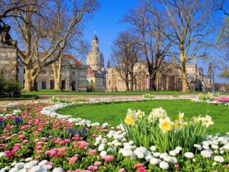 Dresden im Frühling