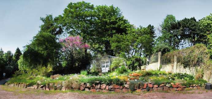 Ein Abstecher nach Halle (Saale): Geschichte, Kultur und ein gutes Bett für die Nacht Botanischer Garten Halle (Saale)