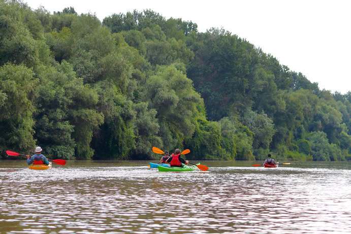 Abenteuer und Spaß: Outdoor-Aktivitäten in der Umgebung Dresdens Kanufahrt auf der Elbe