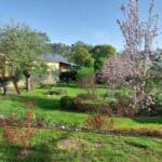 Weinfest Radebeul 2025 und die Villa Tini Villa Tini Ferienwohnung Radebeul 11