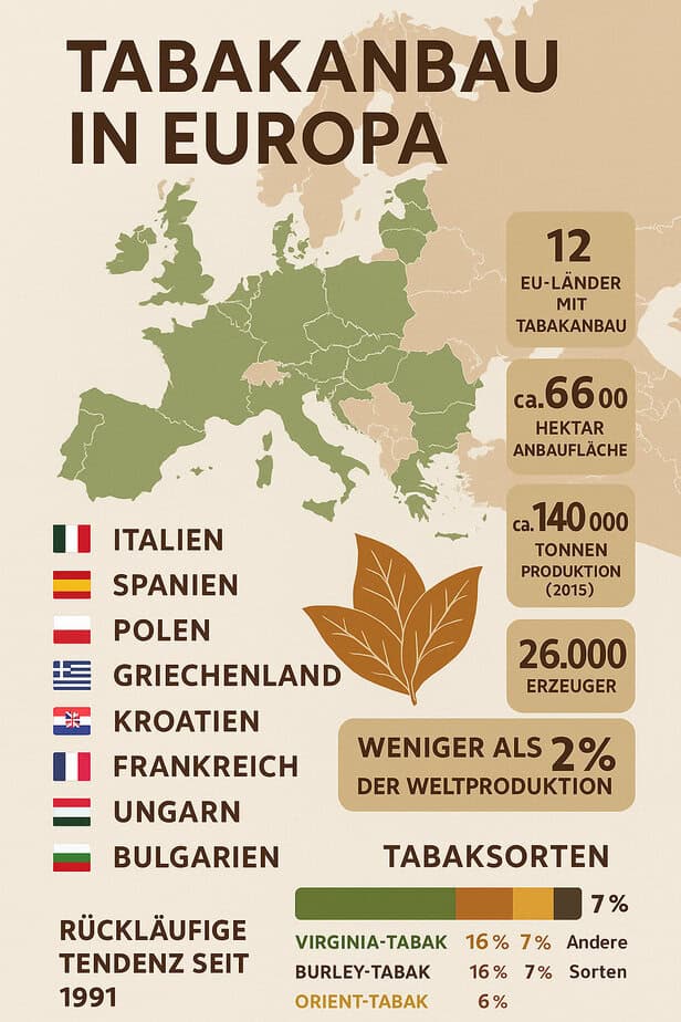 Tabak einmal genauer betrachtet: Wo kommt eigentlich der Tabak her? Tabakanbau Europa