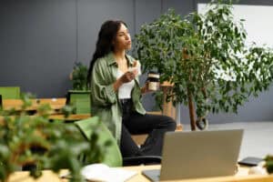 Dekorative Pflanzen im Büro