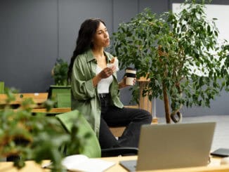 Dekorative Pflanzen im Buero