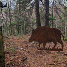 Tyssaer Waende Felsenstadt 15 Tyssaer Waende Felsenstadt 15 scaled