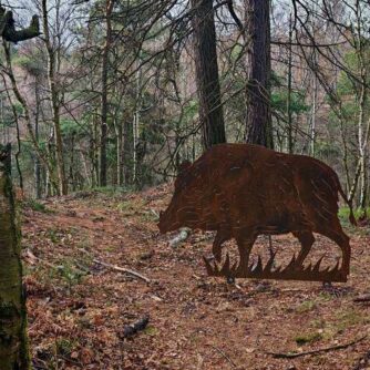 Tyssaer Waende Felsenstadt 15 scaled